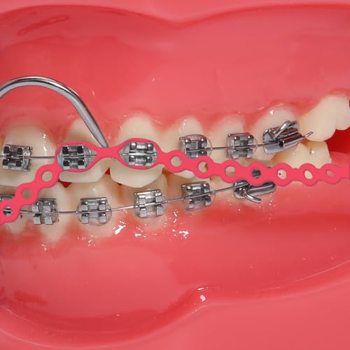 faruijie Colourful Elastic Power Chain for Braces Dental Orthodontic Powerchains 3 Sizes Ortho Rubber Band(Short,Red 4#)