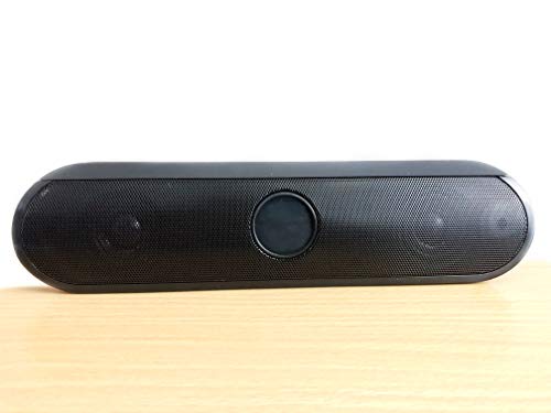 duo portable speaker