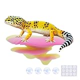 Westant Mushroom Decor for Reptile Tank, Fish Tank, Pet-Safe Bearded Dragon Tank Accessories, Realistic Terrarium Plants for Crested Geckos, Frogs (Rainbow Trio Cap, Randomly Shipped from 3 Styles)