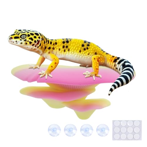 Westant Mushroom Decor for Reptile Tank, Fish Tank, Pet-Safe Bearded Dragon Tank Accessories, Realistic Terrarium Plants for Crested Geckos, Frogs (Rainbow Trio Cap, Randomly Shipped from 3 Styles)