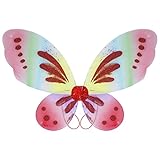 TSSOE Ailes Papillon Enfant Fille Ado Adulte Ailes Fée Coloré Plié en Deux Ailes Ange Epaule Performance Scolaire Cosplay Halloween Carnaval Soirée Noël Pas Cher Rainbow Taille Unique