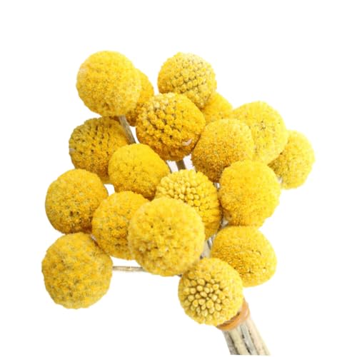 Balls de Flores Secas para Decoración 30 Piezas