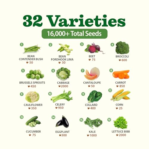 Image of 32 Heirloom Vegetable and Fruit Seeds for Planting - 16,000+ Seeds | Non-GMO Survival Seed Vault | High Germination | 32 Varieties of Vegetable Seeds for Your Home Survival Garden
