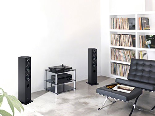 Sony STRDH190.CEK 2-Kanal-Verstärker mit Telefoneingang und Bluetooth, Schwarz – Ansicht 6