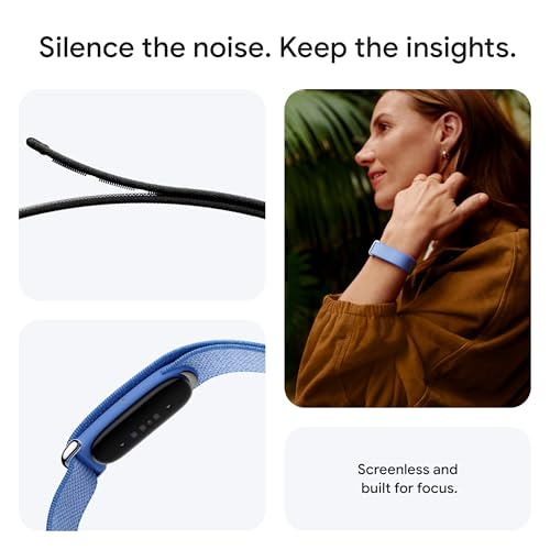 Image of Google Fitbit Next, Berry