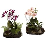Nearly Natural Orchid Island (Set of 2)