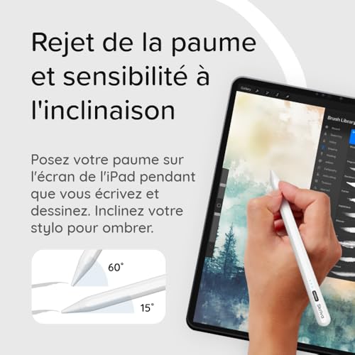 Stylet tactile iPad charge rapide USB-C avec indicateur - 8