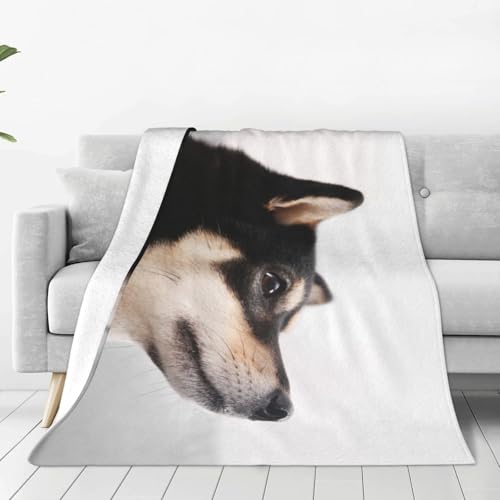 ѕz Č   Aj uPbg VO ėp |ѕz [΍ Ђ| tl G| QPbg _炩G ӂӂ  g y Ódh~ 􂦂 ItBX Qp lGKp 唻 130×150cm