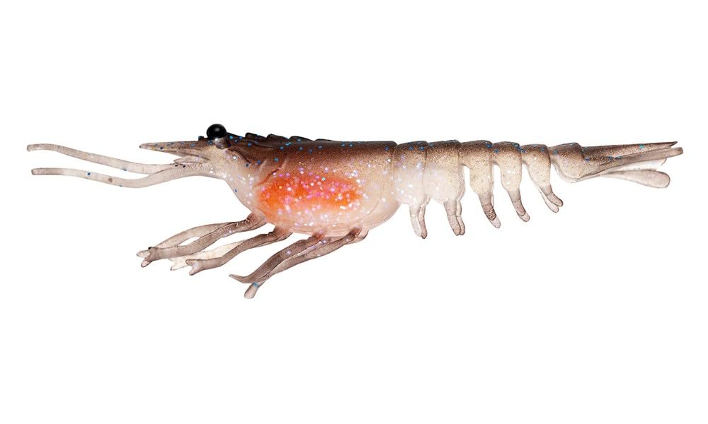 Nomad Design Live Ops Switcher Shrimp 3.5” Unrigged Soft Bait Lure, Versatile Shrimp Reactor UV, (5 Pack), for Snook & Redfish