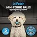 iFetch Mini-Tennisbälle, klein