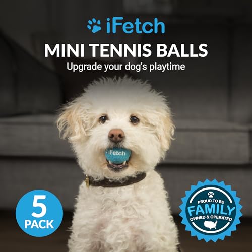 iFetch Mini-Tennisbälle, klein