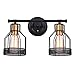 Pauwer 2 Light Bathroom Vanity Light Industrial Metal Wire Cage Wall Sconce Edison Vintage Wall Light Fixture for Bathroom (2-Light Vanity Light)