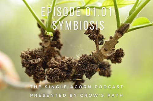 01.01 – Symbiosis cover art