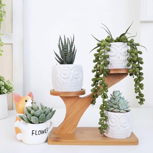 Support de plante de bureau avec petits pots fleurs en céramique blanche