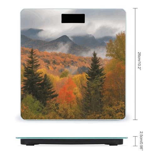 Báscula digital de baño con superficie de vidrio templado miniatura 2