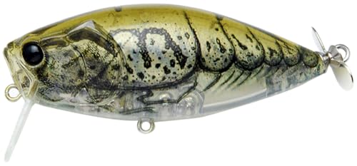 ChWp(Raid Japan) SWITCHBAIT SCRATCH (XCb`xCg XNb`) 008.tEGr (SCR008. FUYUU EBI)