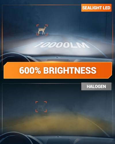 Image of SEALIGHT 9006 LED Fog Light Bulbs, 12000LM 24W Strong Penetration 9006 HB4 LED Fog Lights, 6500k Cool White 5530 CSP Chips, IP68 Waterproof Plug and Play, Pack of 2
