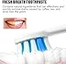 Generic Sp-6 Probiotic Toothpaste Whitening, Ultra Whitening, Stain Removing, Fresh Breath & Teeth Health (2 Pack)