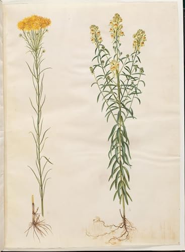 Lienzo de pintura de Hans Simon Holtzbecker, póster artístico de 60x90cm para salón y oficina