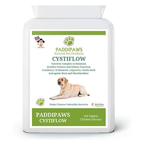 Cystiflow - Bladder Support For Dogs - UTI, Cystitis and Kidney problems — A Blend of 6 Nutrients - Specially formulated urinary tablets for dogs to maintain Healthy Urinary and Kidney Function Cover