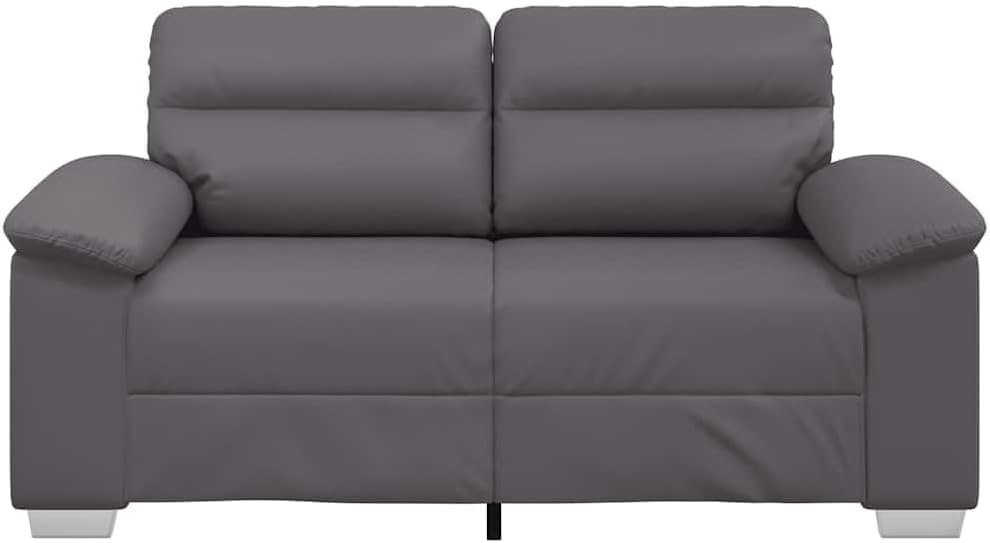 Front view of the vidaXL 2-Seater Sofa
