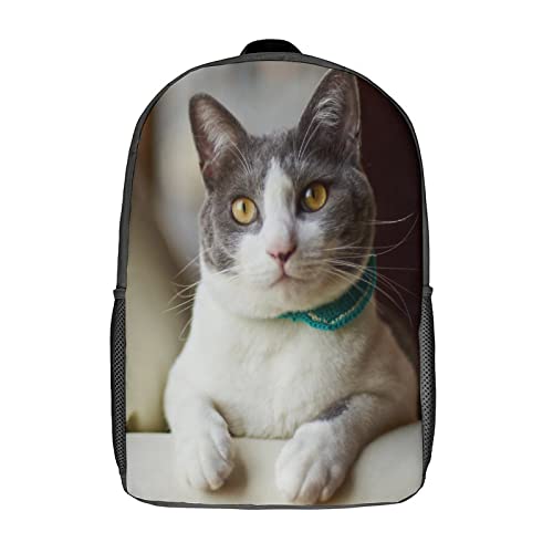 Cartable chat unisexe 17 pouces pour enfants - Sac à dos scolaire garçons et filles imprimé 3D