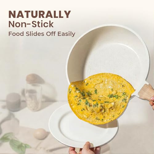 Image of Homero Non Stick Maifan Frying Pan with Lid, Non Stick Pan with Non-Toxic Coating, Granite Skillet with Anti-Scald Handle, Omelet Pans, Egg Pan Cookware, PFOS & PFOA Free (24cm, Maifan Stone)