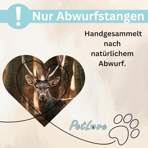 PetLove Damhirsch Geweihstange für Hunde & Welpen • Hirschgeweih Hund • Natürliches Geweih • Kauspielzeug Größe L (151-225g)
