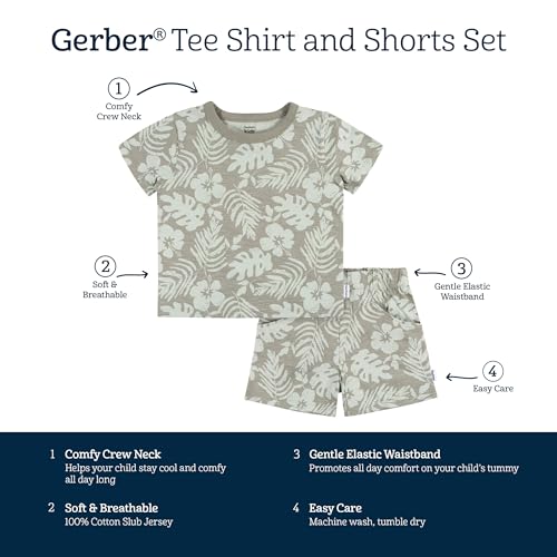 Image of Gerber Baby Boys' Toddler T-shirt and Short Set