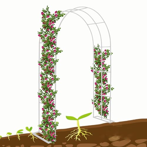 Arco da Giardino Arco Matrimonio in Metallo Sostegno per Rampicanti Arco per Rose Largo 80/120/140/180/200/240/280/300/350cm Padiglioni Reticolo Decorazione da Giardino (Color : White, Size : 180x25