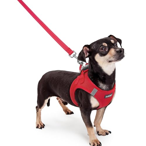 Image of rabbitgoo Dog Harness Small Sized and Leash Set, Step-in Puppy Pet Vest