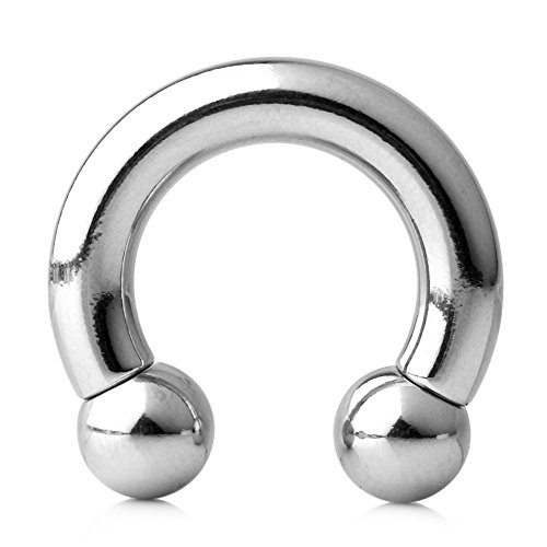 Ruifan 316L Surgical Steel Circular Internally Threaded Barbell Horseshoe Pierced Body Jewelry 6G 1/2 Inch #TOP1