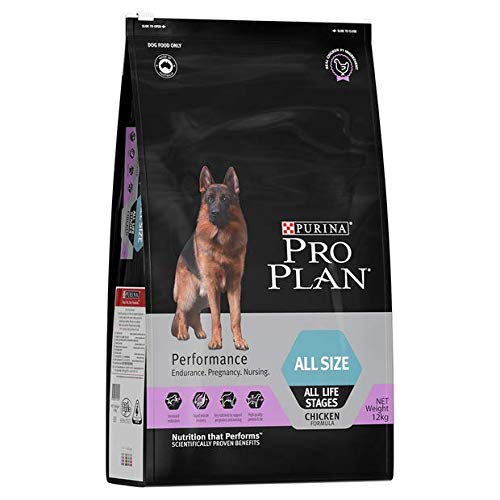 5 Best Purina Pro Plan Dog Foods 2024 There's One Clear Winner