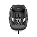 Peg Perego Primo Viaggio - Rear Facing Infant Car Seat - for Babies 4 to 30 lbs - Made in Italy - True Black (Black)