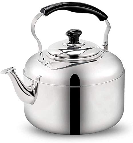 Théière ergonomique SHISHI avec sifflet intégré et nettoyage ultra facile