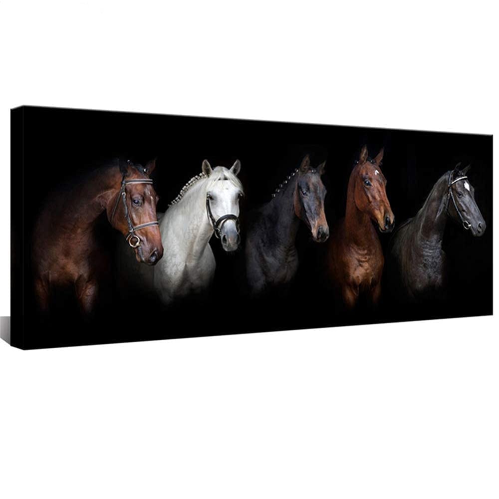 Peinture diamant complet 5D cheval pour donner vie à vos créations DIY