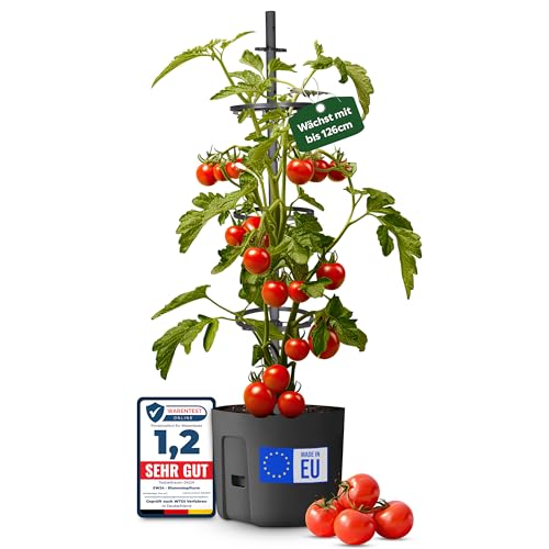 EW24 Tomatentopf 29 cm x 29 cm - integrierter 4 Liter Wasserspeicher und mitwachsende Rankhilfe bis zu 126,2 cm - optimaler Schutz vor Schädlingen - für Balkon, Garten, Terrasse