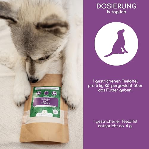 Wolfsbacher Natürliches Beruhigungsmittel für Hunde | Mit Hanf bei Stress und L-Tryptophan für Ruhe und Entspannung | Anti-Stress Pulver für Hunde