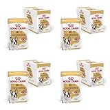 ROYAL CANIN Bouledogue Français Adulte Pâté | Pack de 4 | 4 x 12 x 85 g | Aliment complet pour bouledogues français à partir de 12 mois