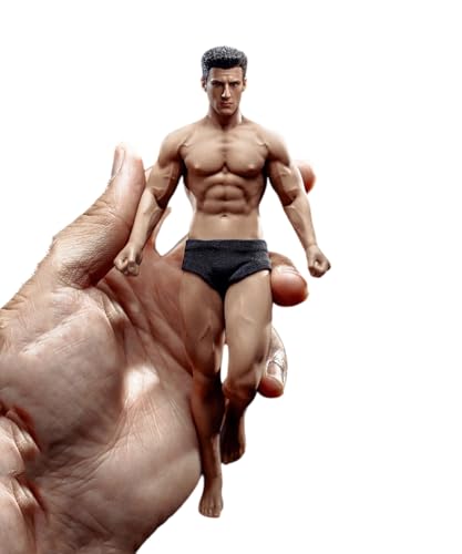Fremego 1/12 Scale Male Action Figure,6inch Male Super-Flexible Seamless Action Figure Body Doll Collection(TM01A Normal Version)
