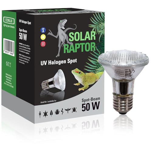 SOLAR RAPTOR Spot halogène UV - Spot chauffant pour terrarium (50 W)