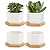 OAMCEG Succulent Pots 2.75 inch/ 4 inch