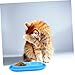 HANABASS Double Cat Bowl Integrated Water Moat Ant Pet Feeding Dish for Small Dogs and Cats Stylish Design for Outdoor Use