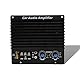 Jectse 1000W Car Audio High Power Amplifier Amp Board, 12V Aluminiumlegierung Subwoofer Amp Board für Fahrzeug Auto Lautsprecher Modifikation