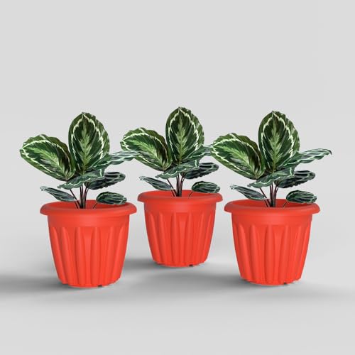 Image of YUCCABE ITALIA SHERA Floot 8 Inch Plastic Flower Pot 3 Piece Set of Round Shape Planter for Home Garden Seedling Planter for pots (Red)