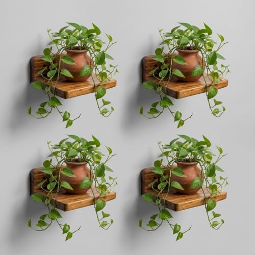 Image of Premium Solid Wood Floating Wall Shelves (4-Piece Set, 18x15 cm) - Rustic Wall-Mounted Display for Plants & Home Decor, Heavy-Duty, Easy Installation for Living Room, Bedroom & Office. inch