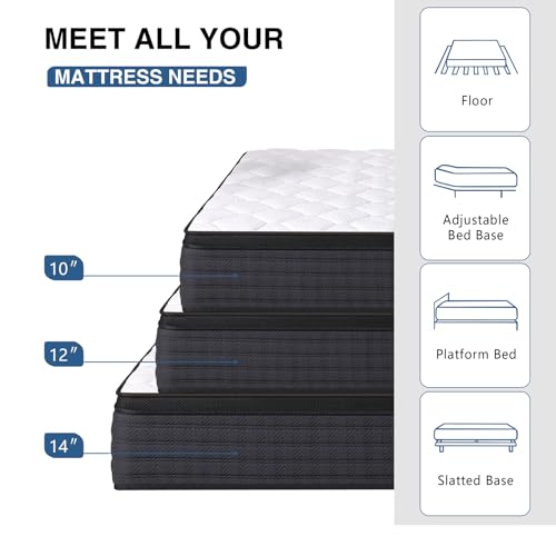 Queen Size Mattress, 10 Inch Hybrid Memory Foam Queen Mattress in a Box, Pressure Relief, Medium Firm, CertiPUR-US