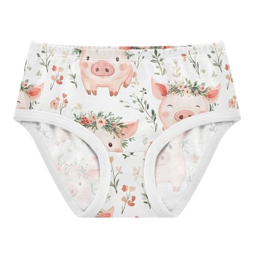 Wusikd Pigs Wreaths Girls' Underwear Cotton Cute Girls Briefs Soft Toddler Underwear 2T