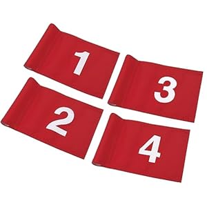 Numbered Solid Golf Flag with Tube Inserted,8” L x 6”H Mini Putting Green Flags for Yard Indoor Outdoor Backyard Garden, 420D Nylon Mini Pin Flags (Upgraded double-sided Red Flags 4 Sets #1,2,3,4)