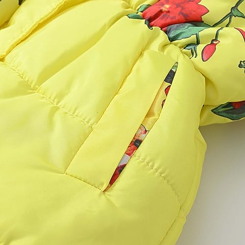 Girl Winter Dress Coats Hooded Fleece Jacket Warm Outwear with Printing 𝗪aterproof Heavy Parka Hooded (B, 3-4 Years)2